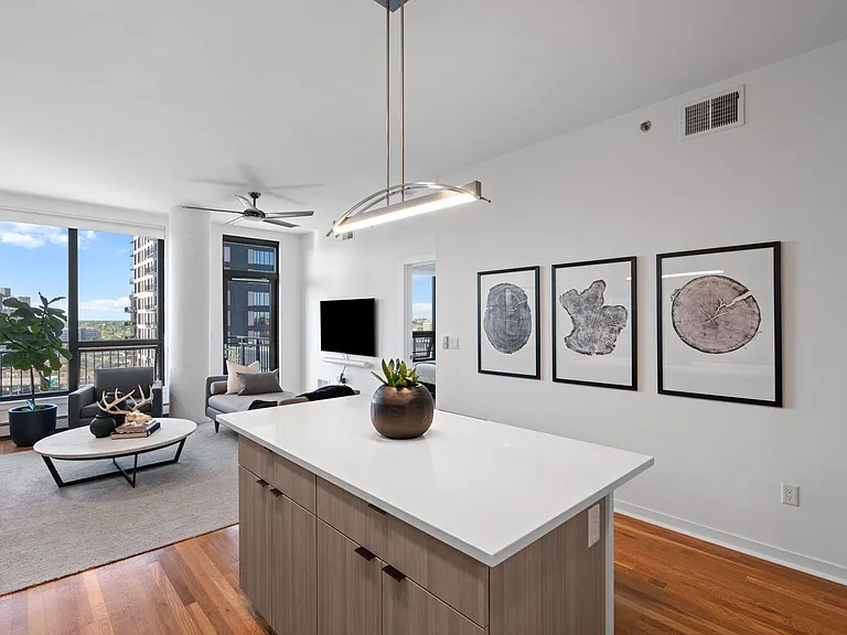 1240 S 2nd St #1025 — Photo 4