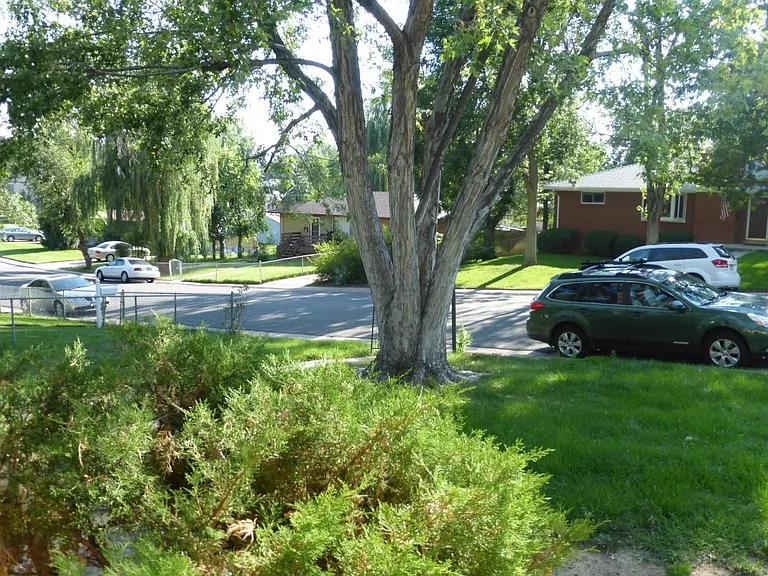 5414 S Datura St — Photo 4