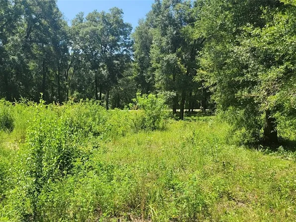 3106 E George St, Inverness, FL 34453