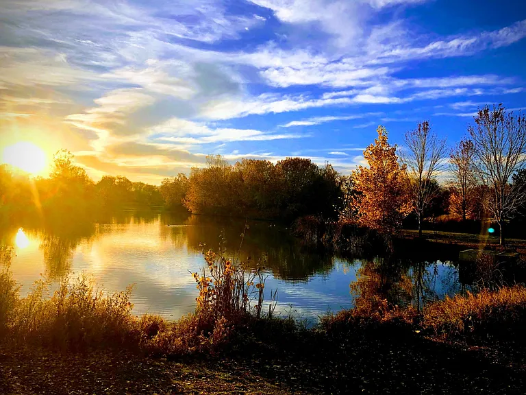 Picture taken in park last fall.