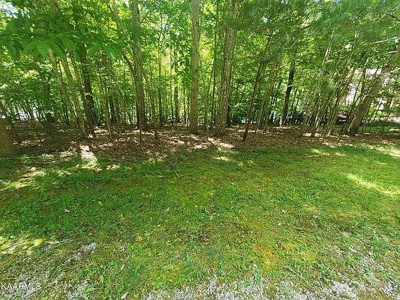 2nd image of 132 Chatham Ln
