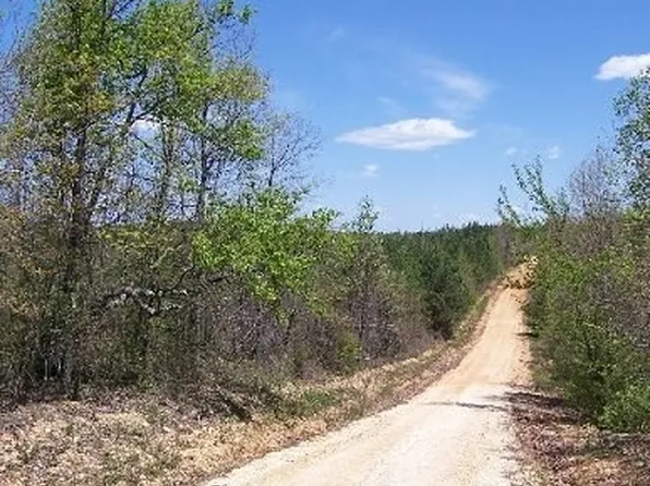 Scott Ridge Rd, Waynesboro, TN 38485