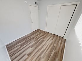 250 Village Dr (YDI)