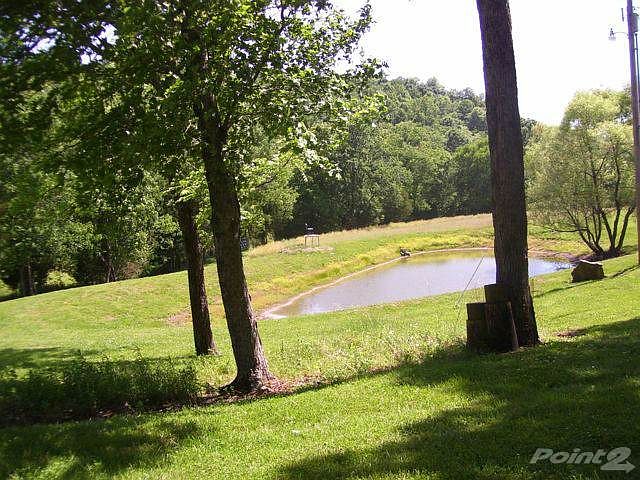 Small Pond on Property