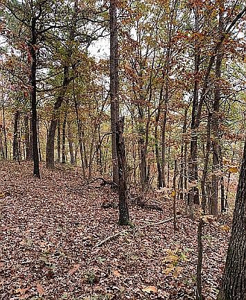 3rd image of 100 County Road 620