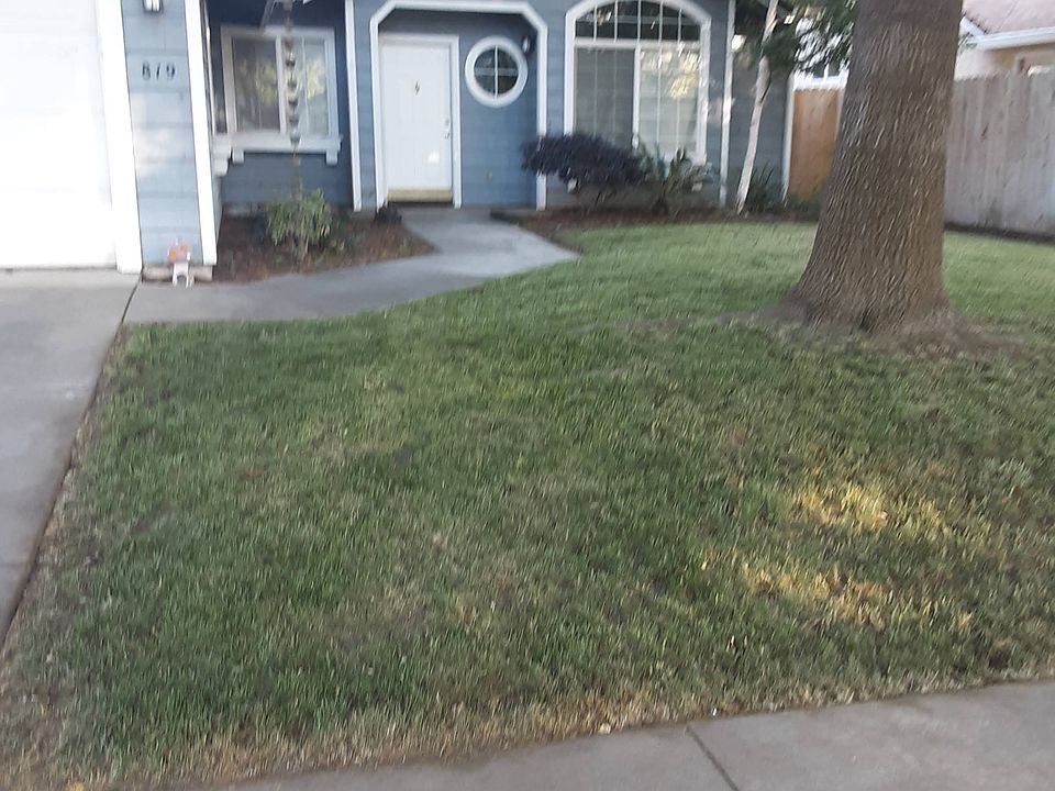 1st image of 819 Black Walnut Way