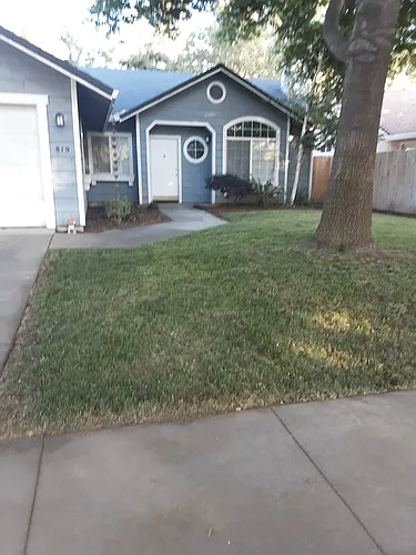 819 Black Walnut Way Photo 1