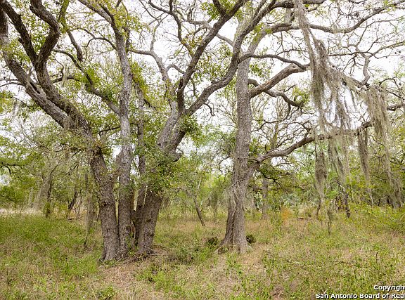 TBD County Road 436, Three Rivers, TX 78071 | Zillow