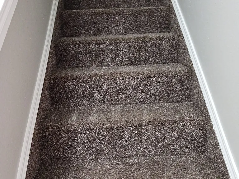 2202 W Elisa Ln #4 — Photo 7