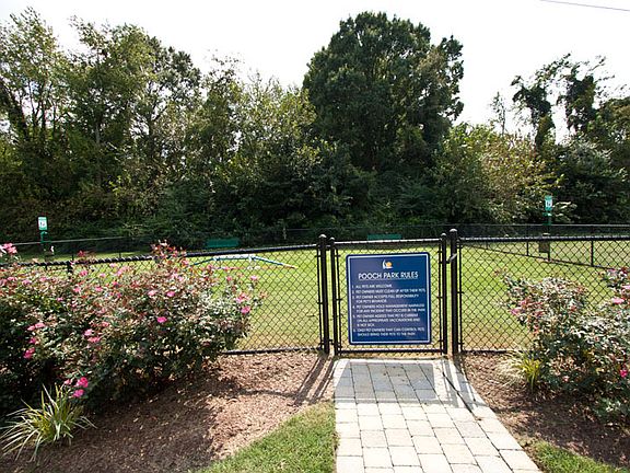 Pooch Park