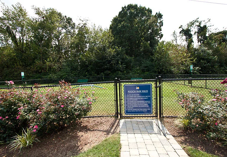 Pooch Park