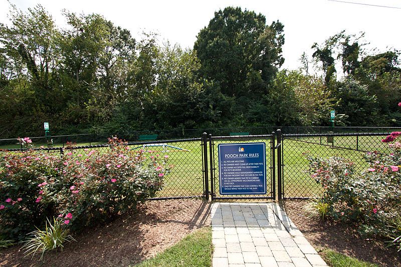 Pooch Park