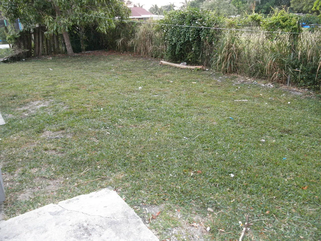 Palm Beach Farms — Photo 2