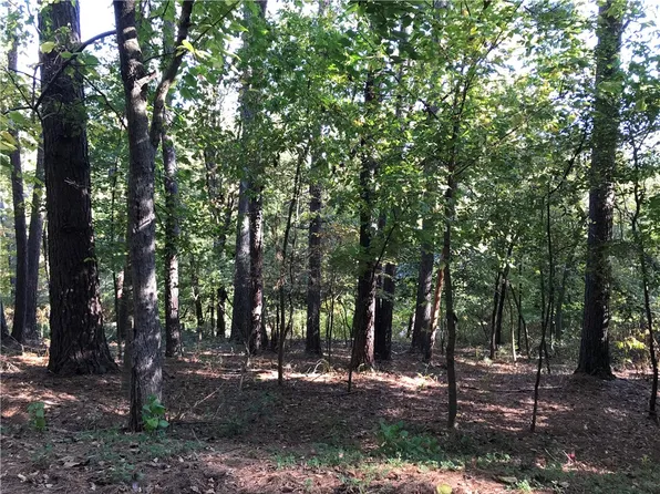 Forfar Dr #15, Bella Vista, AR 72715
