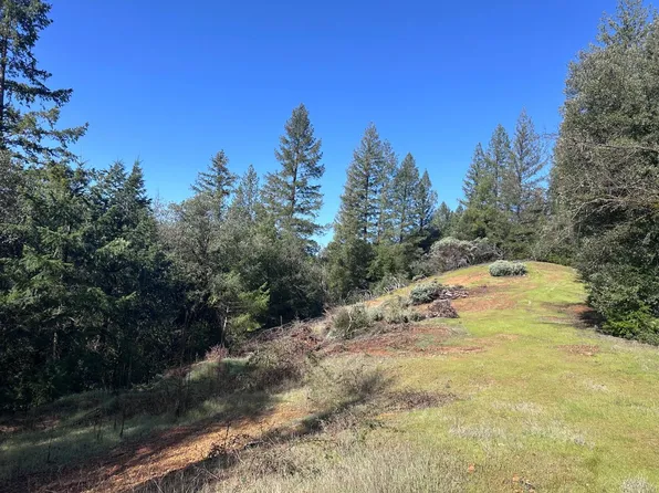 Norton Grade Rd, Colfax, CA 95713