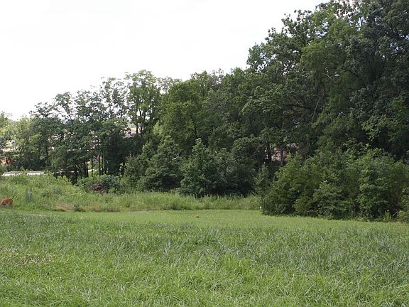 3rd image of 942 Nob Hill Rd