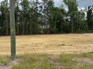 3 Saint John Rd, Galivants Ferry, SC 29544