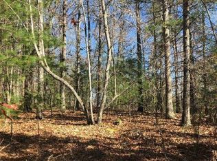 0 Copperhead Trl, Mineral Bluff, GA 30559