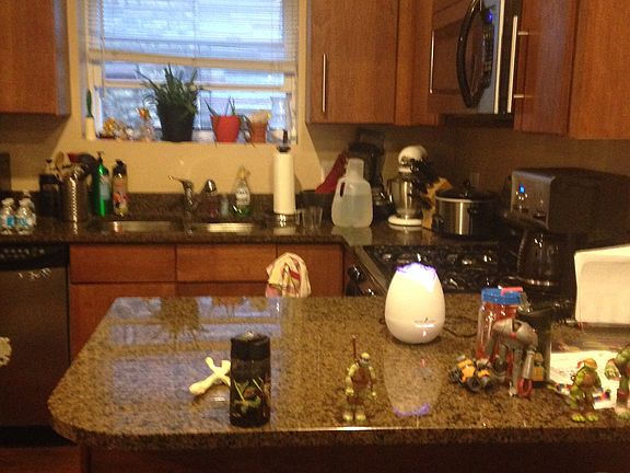 3rd image of 4226-30 N Whipple St #3E