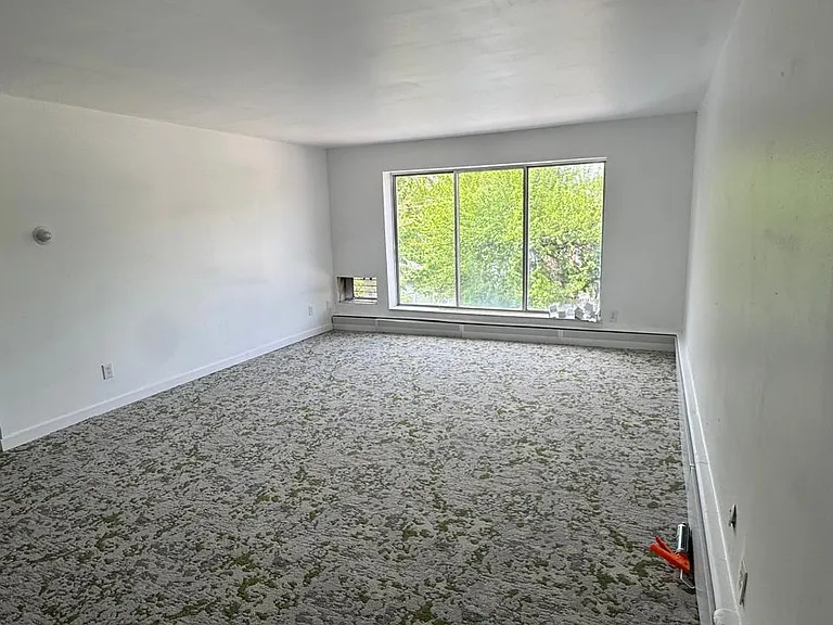 10101 Cadieux Rd #1 — Photo 33