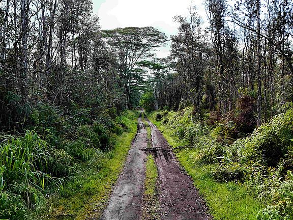4th image of 14-3415 Niihau Rd