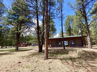 58 Pam Coleman Dr, Eagle Nest, NM 87710