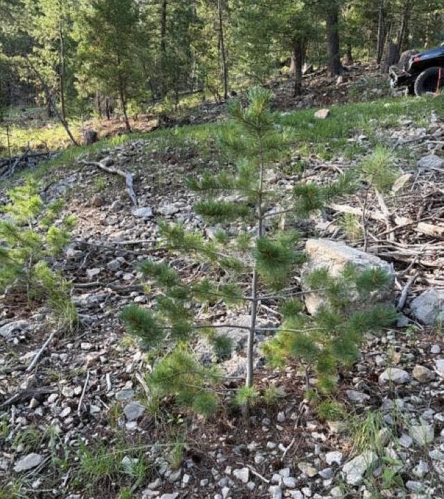 2nd image of Rim Rd