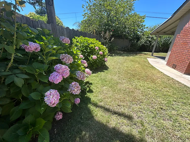 357 Birchwood Ct — Photo 53