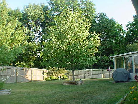 2nd image of 1137 Chattanooga Cir