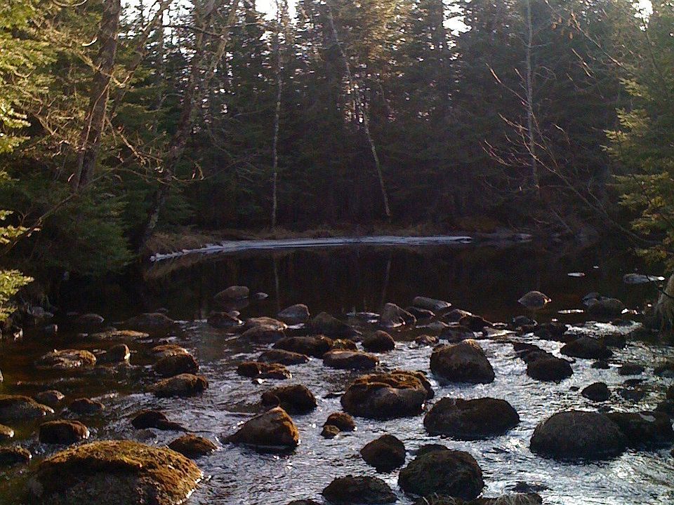 looking up river towards pond