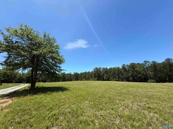 1 Cedar Springs Dr, Jacksonville, AL 36265