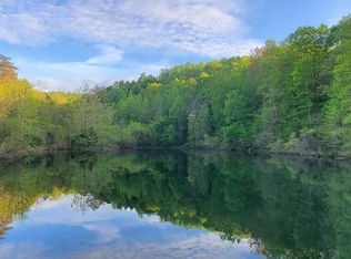 Chestnut Ridge Rd, Sneedville, TN 37869