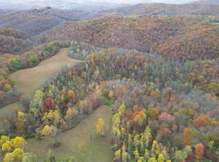 0 Painters Frk, Frametown, WV 26623