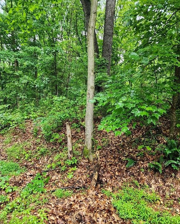1st image of Leola Ln #5