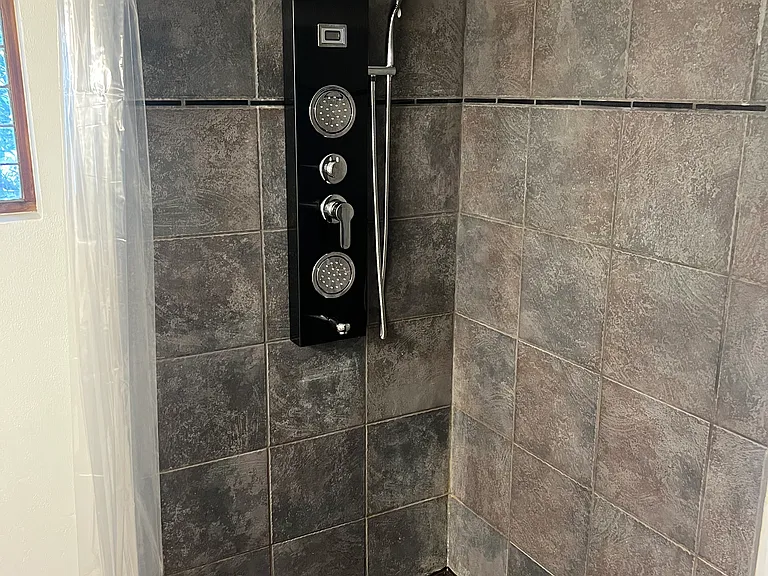 Primary Suite #2 Bath Shower
