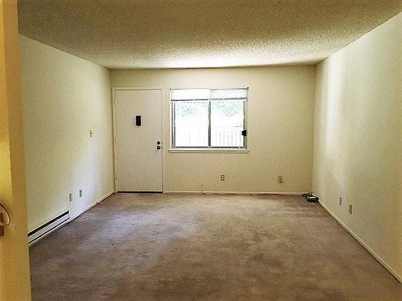 Living Room with Carpet