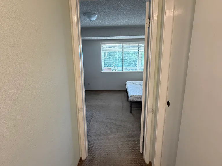 5323 Cribari Gln — Photo 5