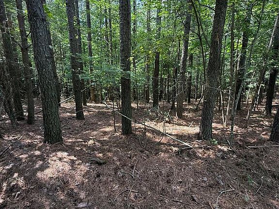 4th image of 0 Hillis Cemetary Rd