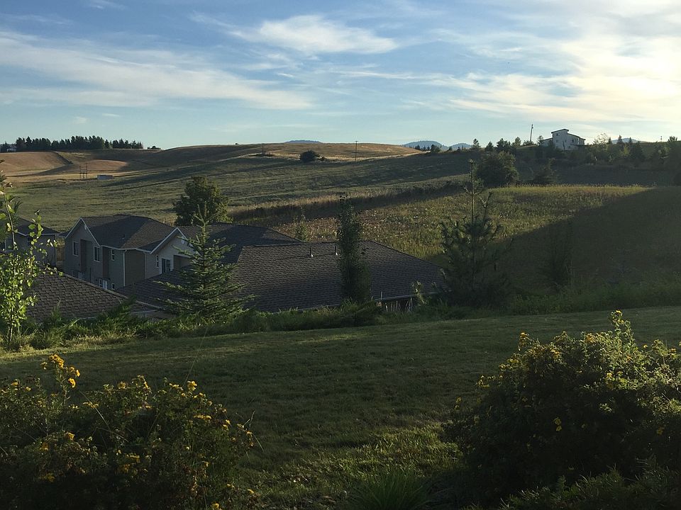 View from the patio