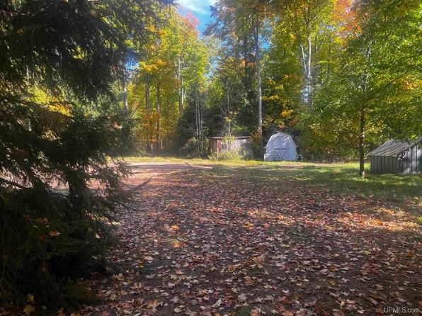 E 4104 Storm Rd, Chatham, MI 49816