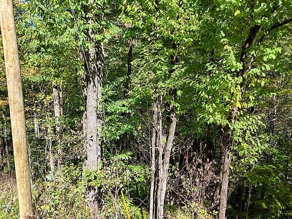 4th image of LOT 16 Off Buckey Haven Rd