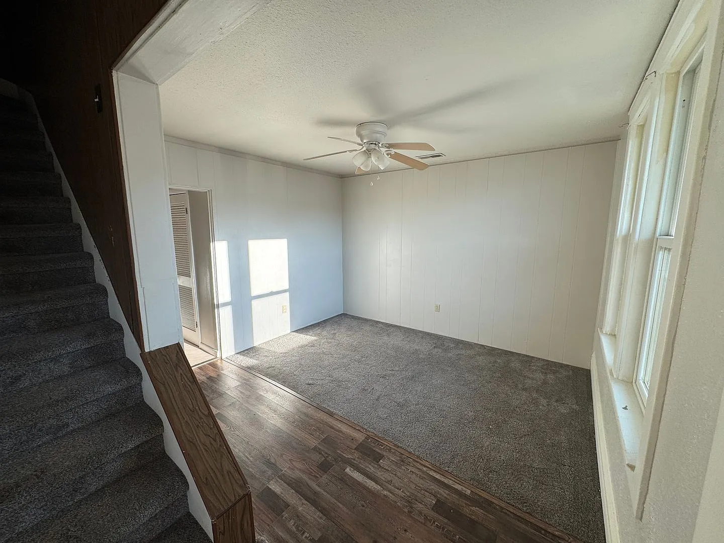 221HEN — Photo 4