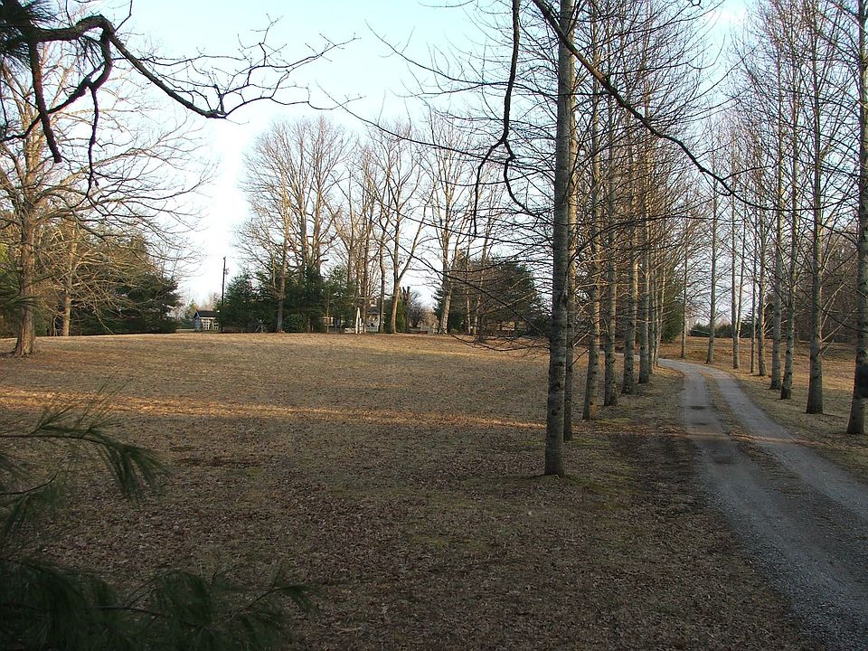 Driveway to the house
