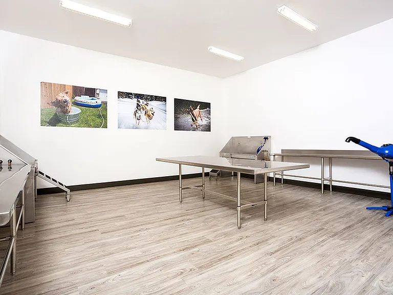 Pet Spa