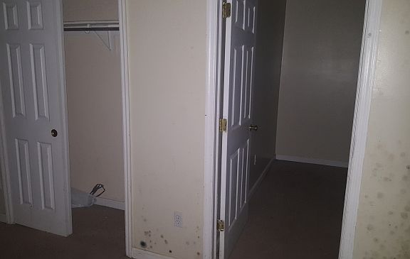 5th image of 140 N 15th St