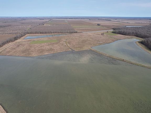 Dji Fly 20260221 101816 123 1771691508244 Photo