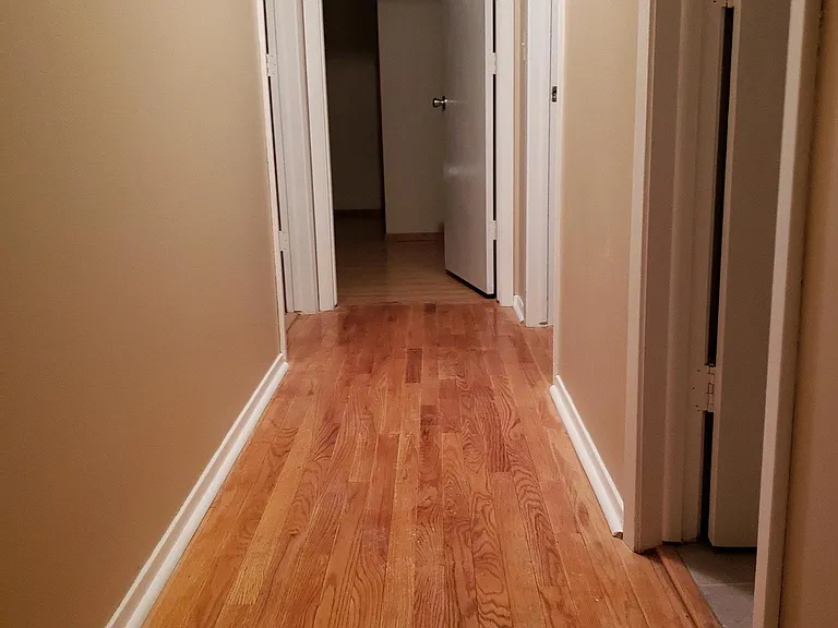 Y Cir — Photo 10