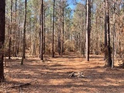 TRACT A Big Lake Rd #1, Pineville, LA, 71360