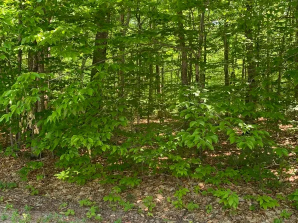 Lot 26 South Beech Road, Harrison, ME 04040