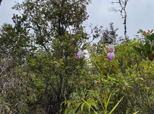 Ooaa Road Rd #6-LOT 4128, Mountain View, HI 96771